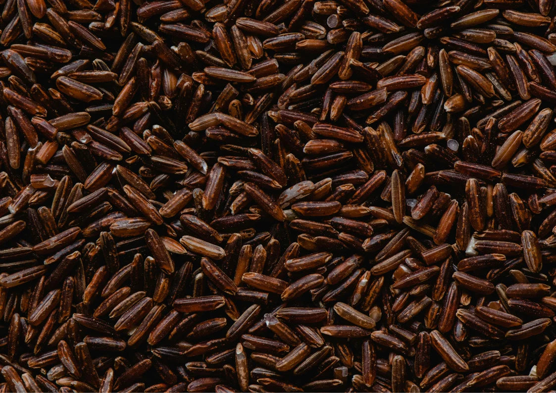Agriko organic red rice farm