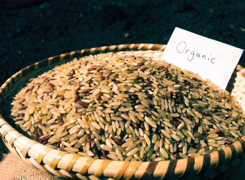 What Is Organic Rice? A Plain-Language Guide