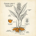 Agriko Organic Turmeric Tea Blend package