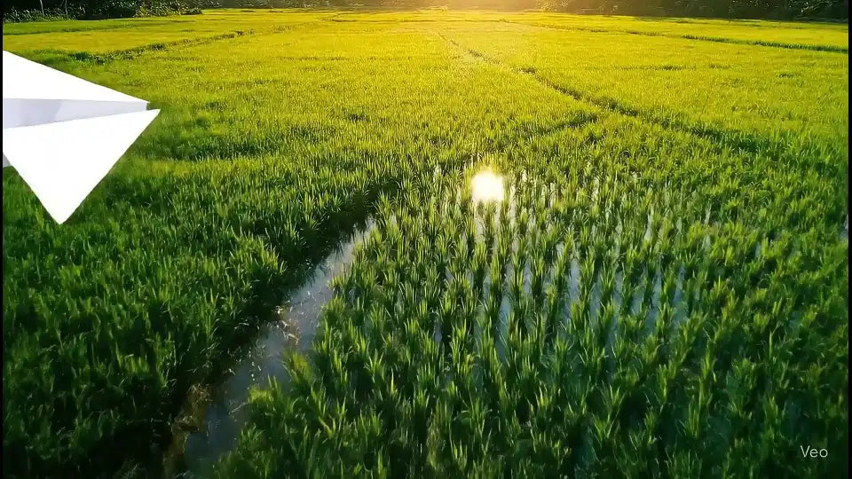 Agriko contact page hero showing the farm landscape in Dumingag, Zamboanga del Sur