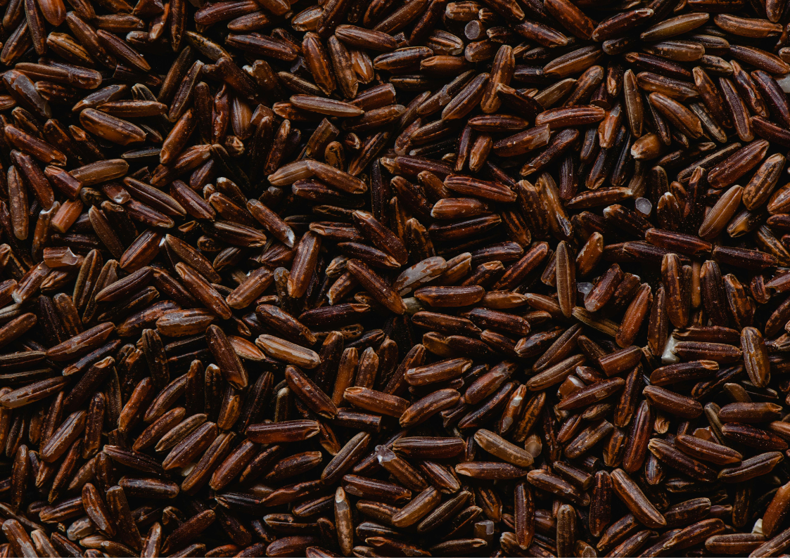 Agriko organic red rice farm