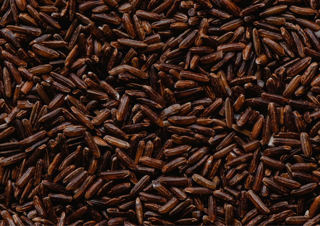 Close-up texture of organic black rice grains